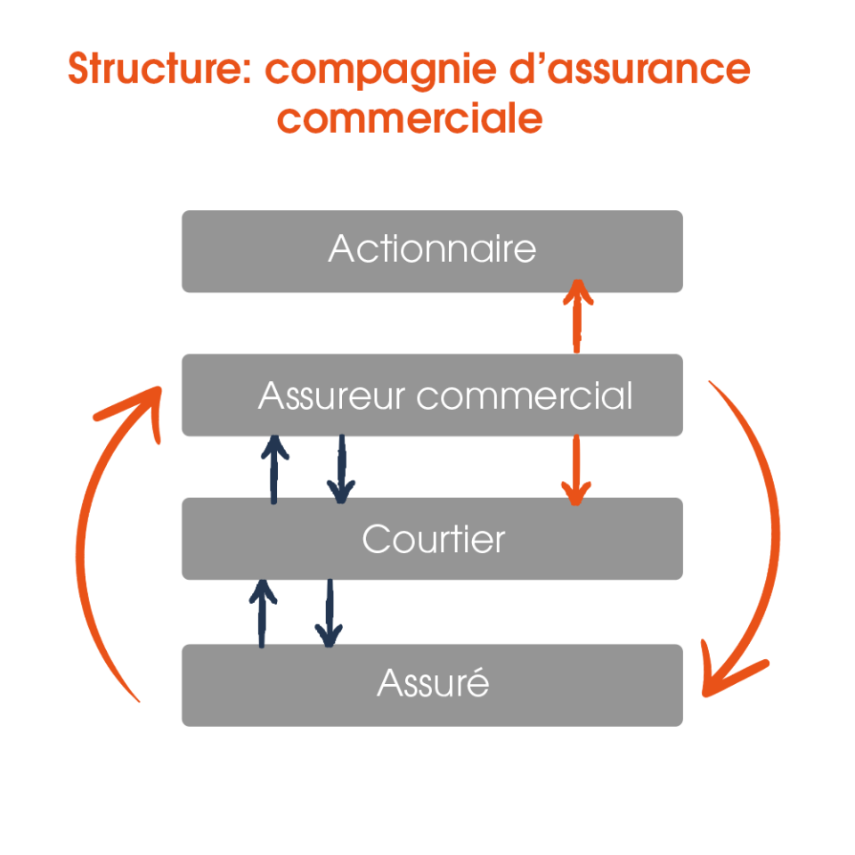 actionnaire_assureurcommercial_afbsite_fr