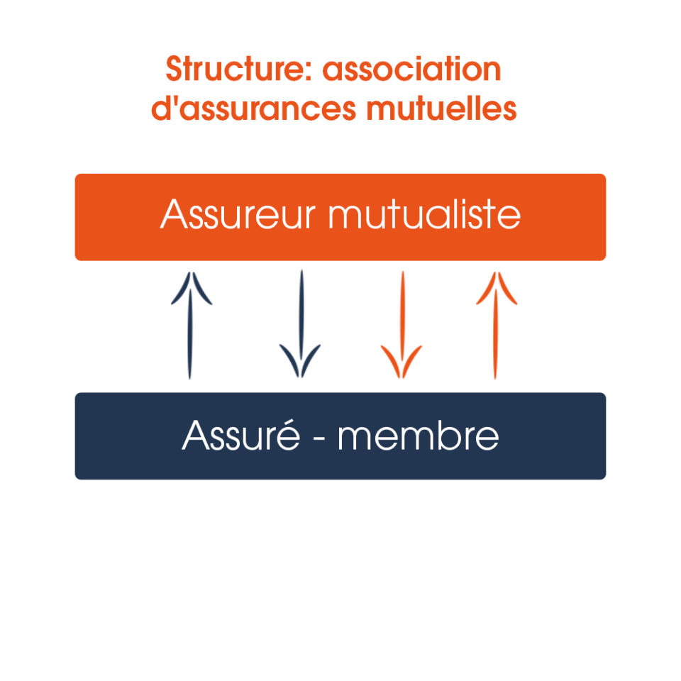 assureurmutualiste_assuremembre_website_fr