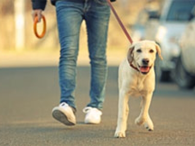 wandeling